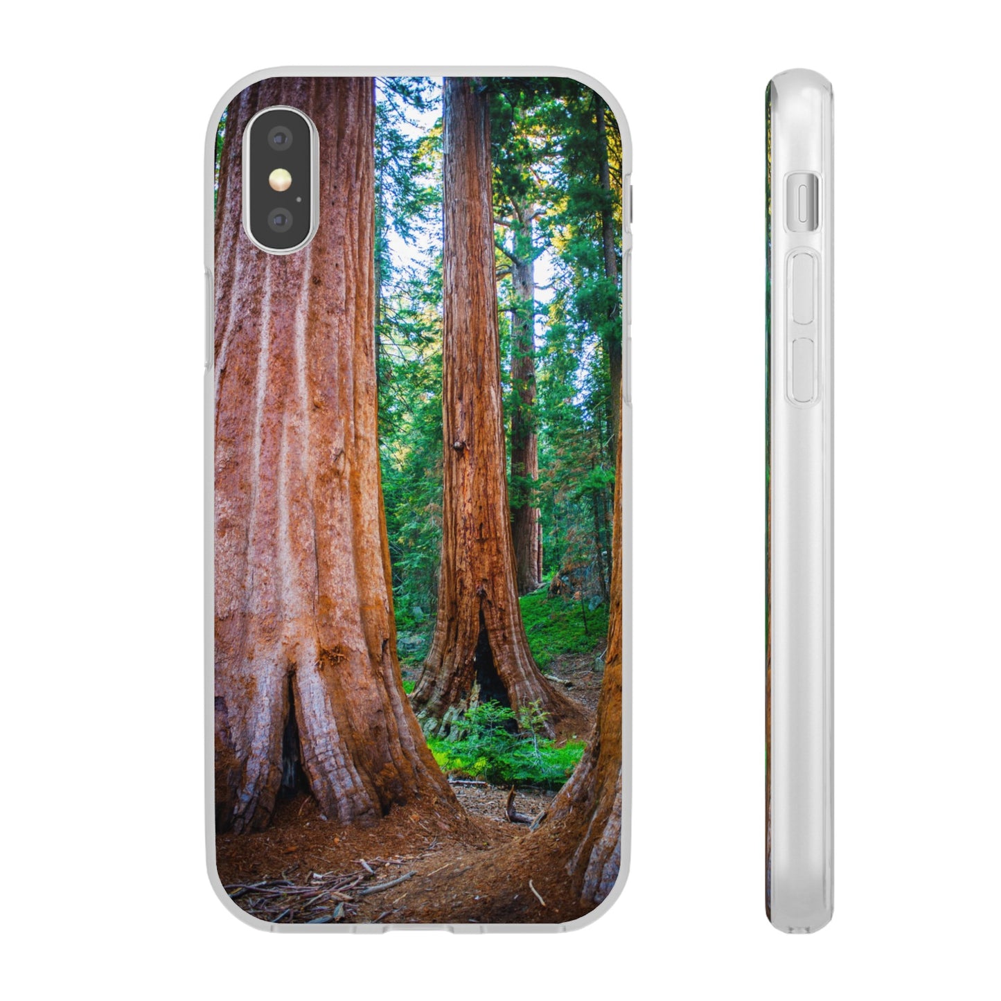 Sequoia Trees' Majesty Flexi Cases