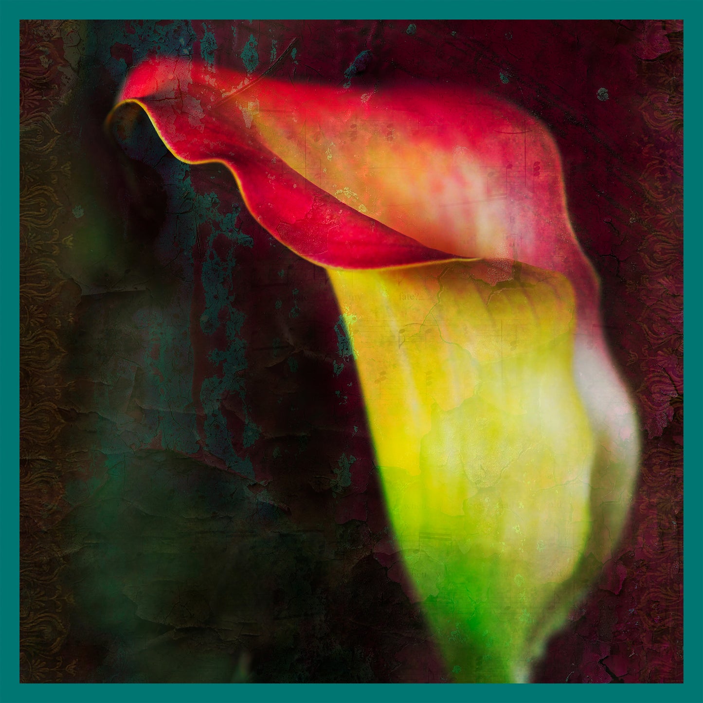 Hydrangea & Calla Lily IV