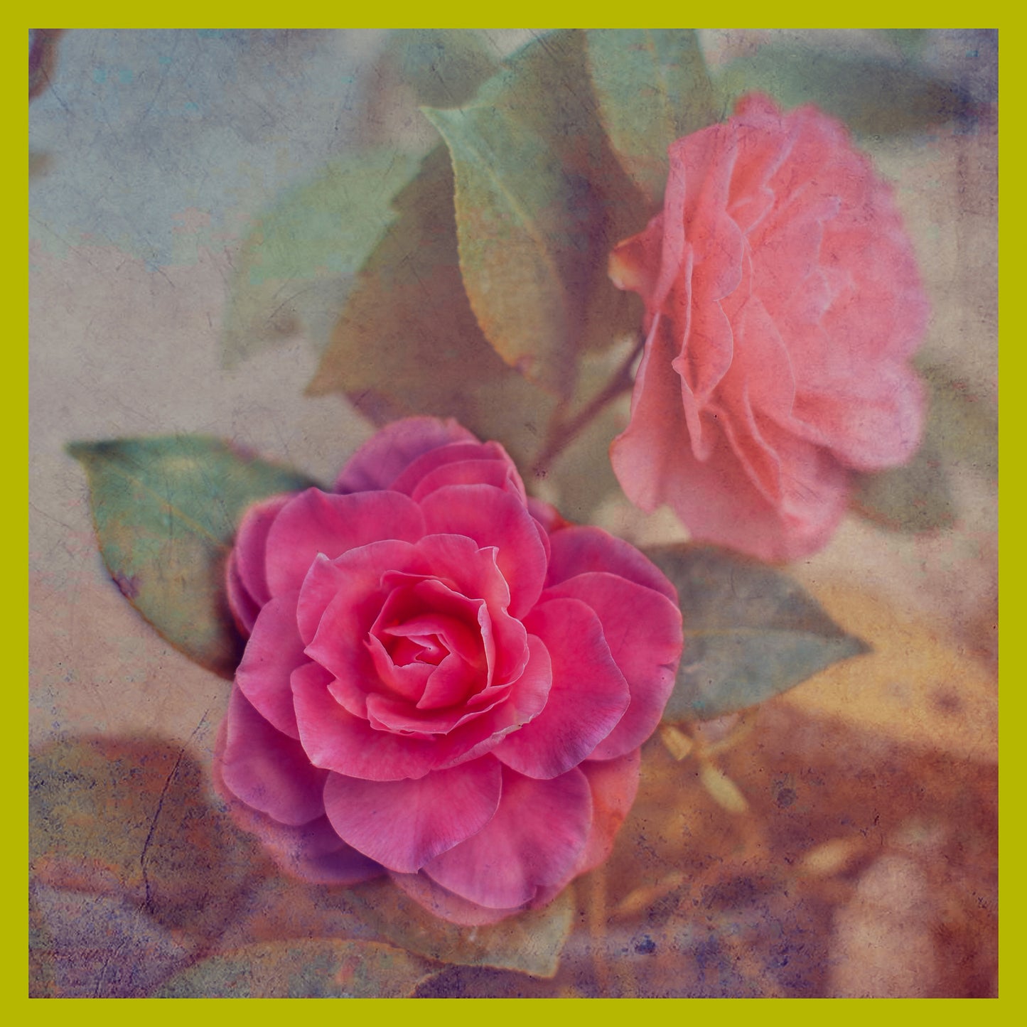 Lady Bank Roses & Camellia IV