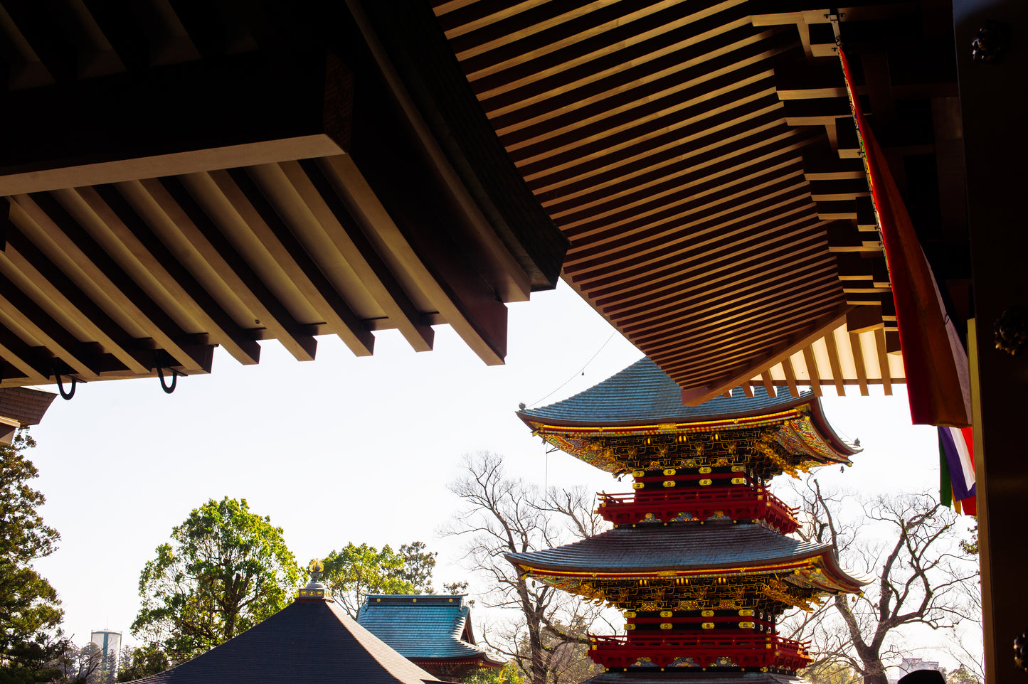 Naritasan Shinshoji Temple II