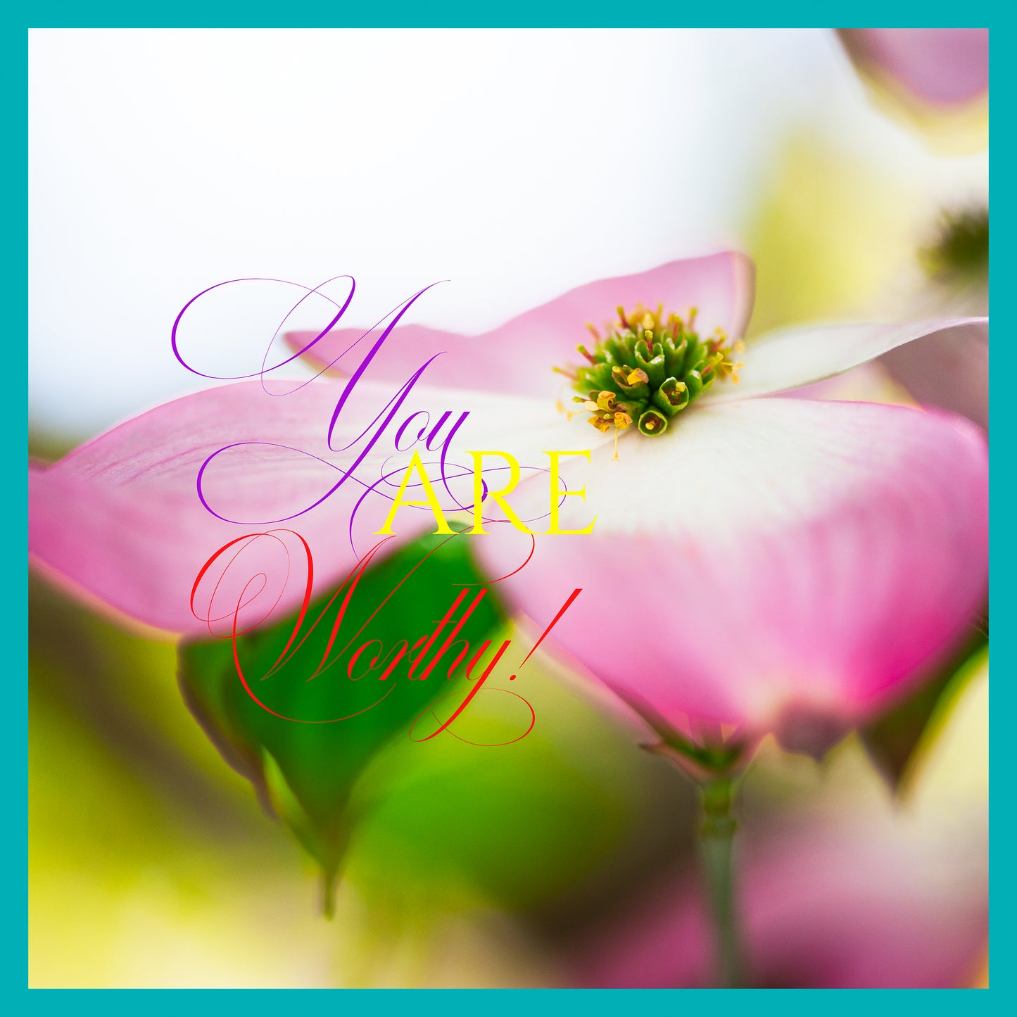 Dogwood & Hollyhock II