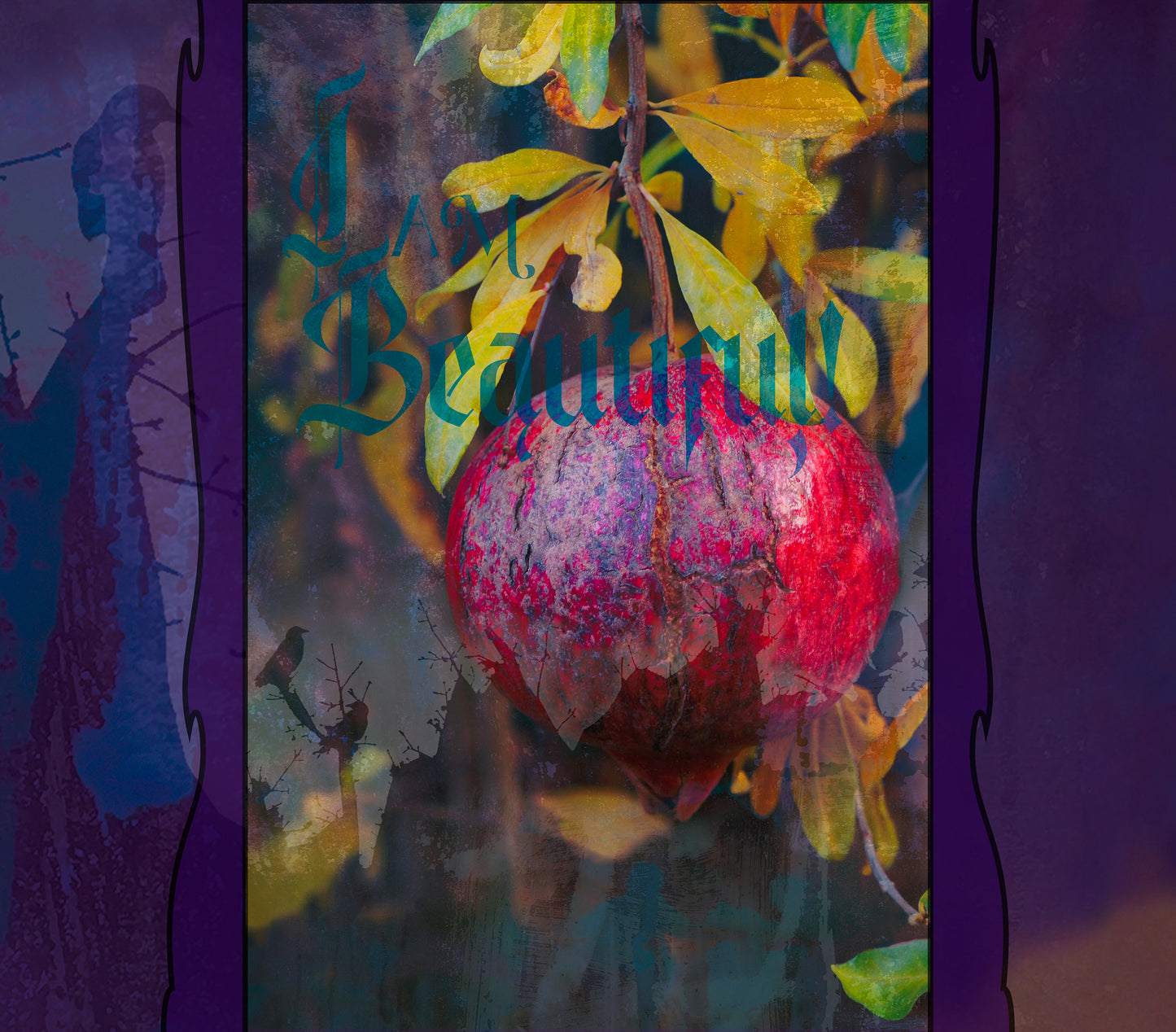 Beauty of a Pomegranate III