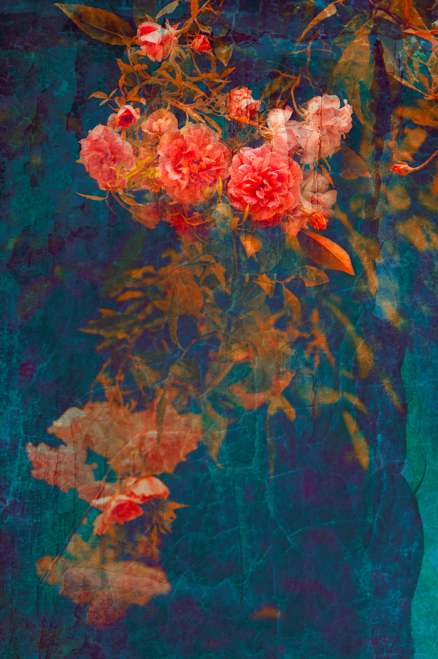 Cascading Miniature Roses