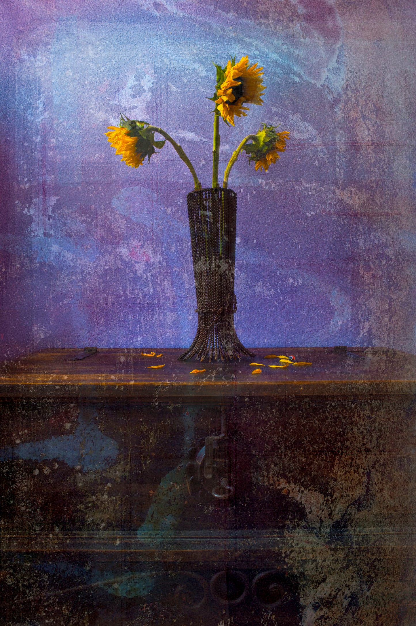 Sunflowers' Path