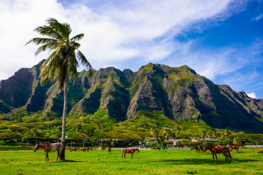 Jurassic Park!  Wow!