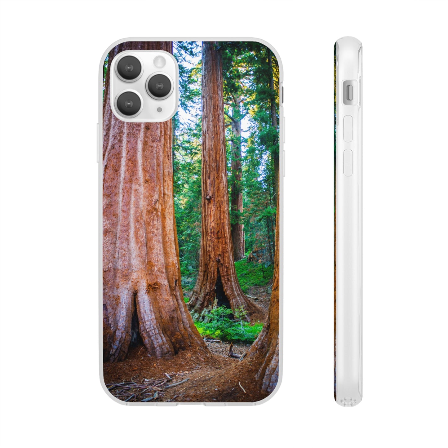 Sequoia Trees' Majesty Flexi Cases