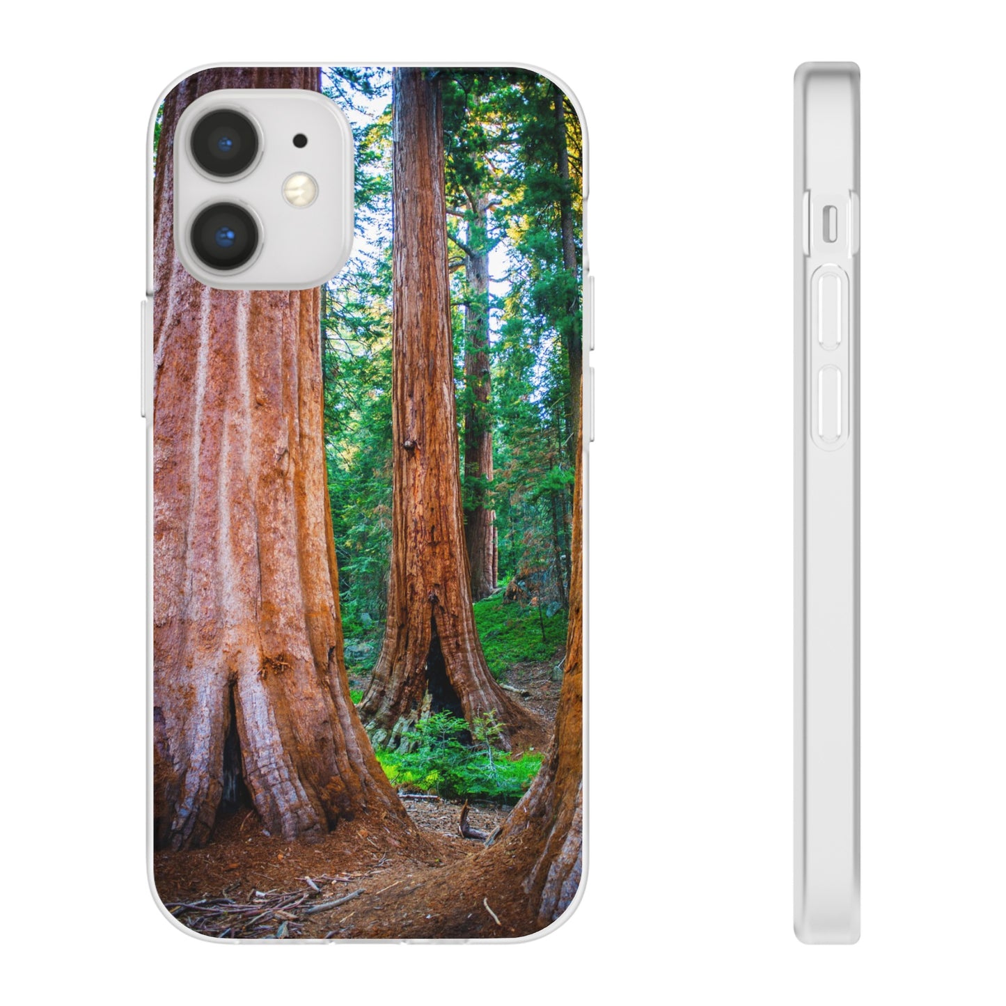 Sequoia Trees' Majesty Flexi Cases