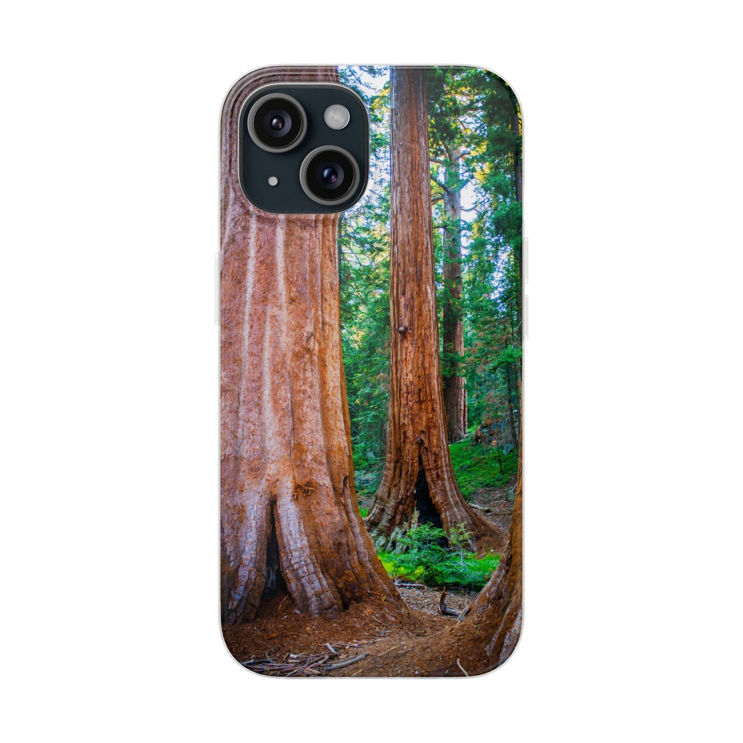 Sequoia Trees' Majesty Flexi Cases