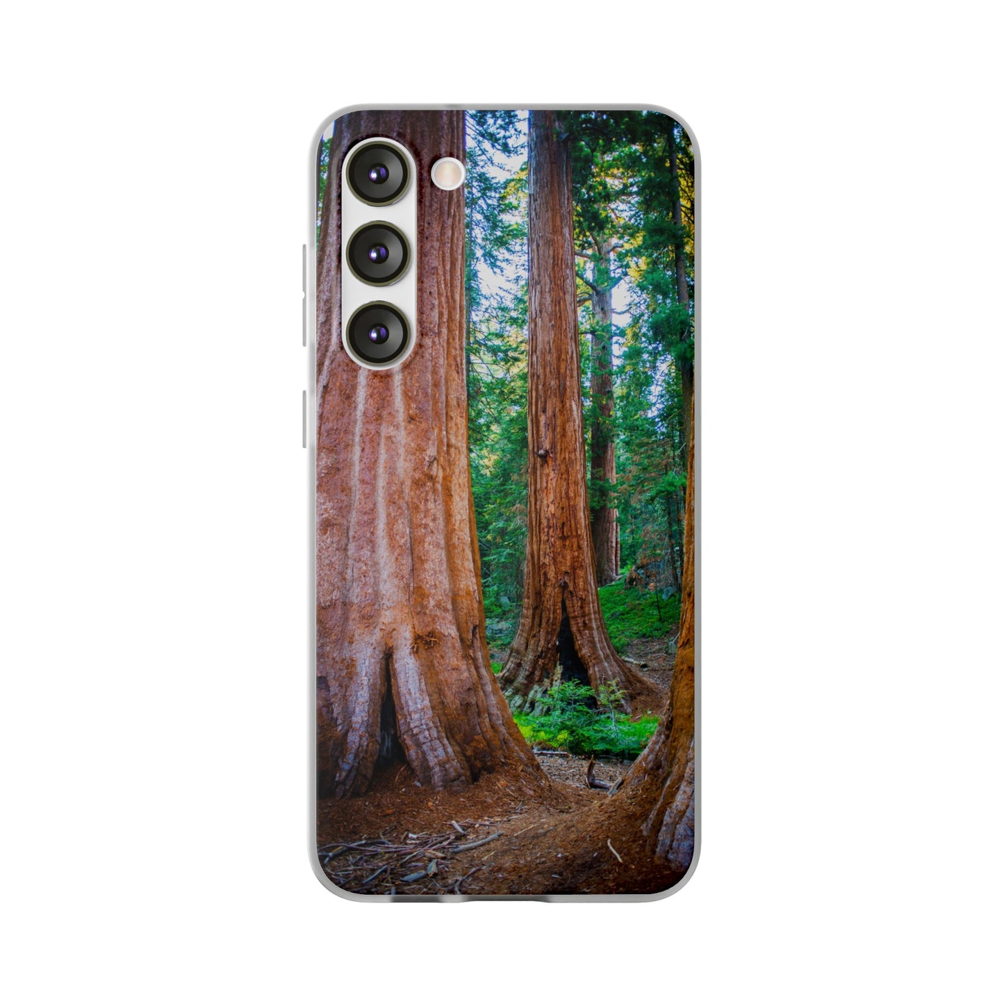 Sequoia Trees' Majesty Flexi Cases