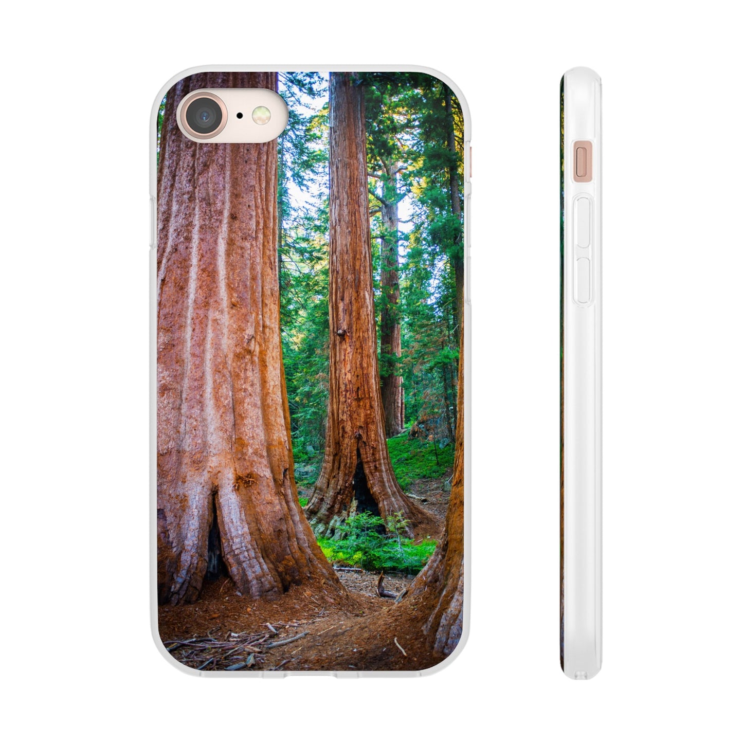 Sequoia Trees' Majesty Flexi Cases