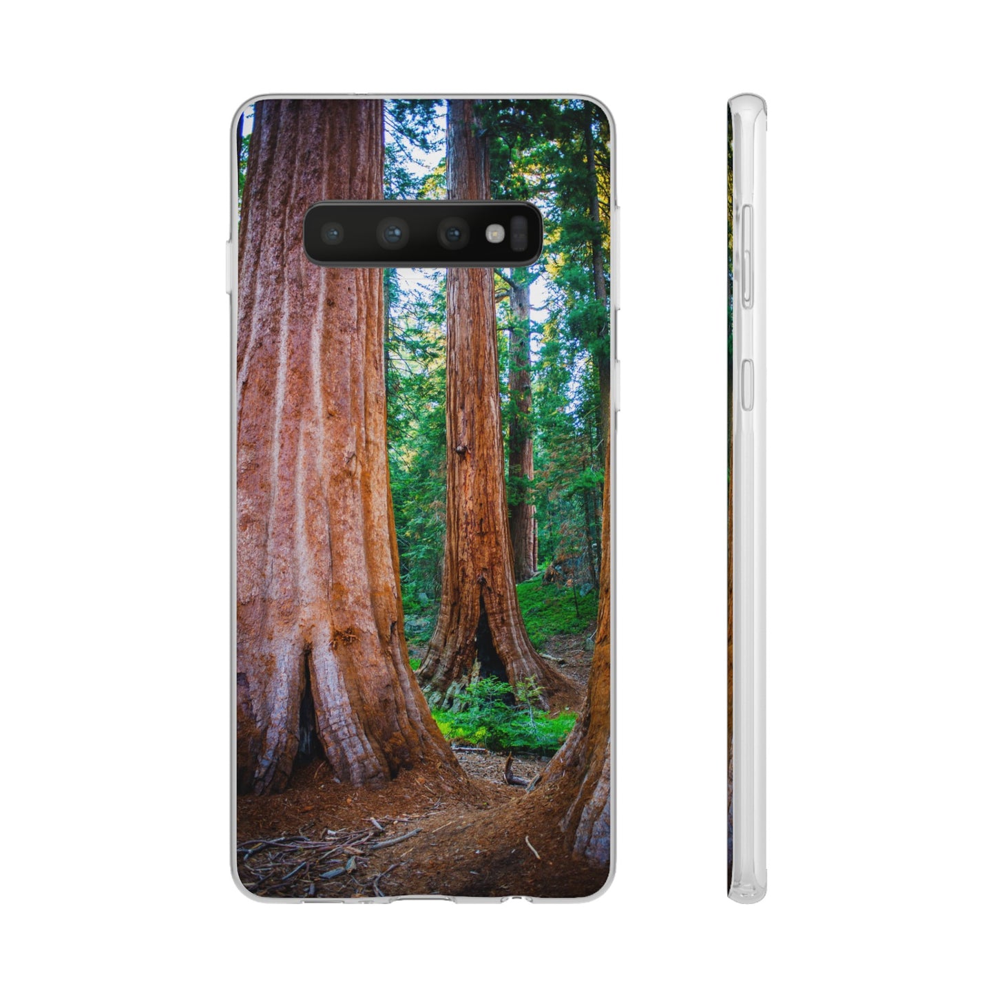 Sequoia Trees' Majesty Flexi Cases