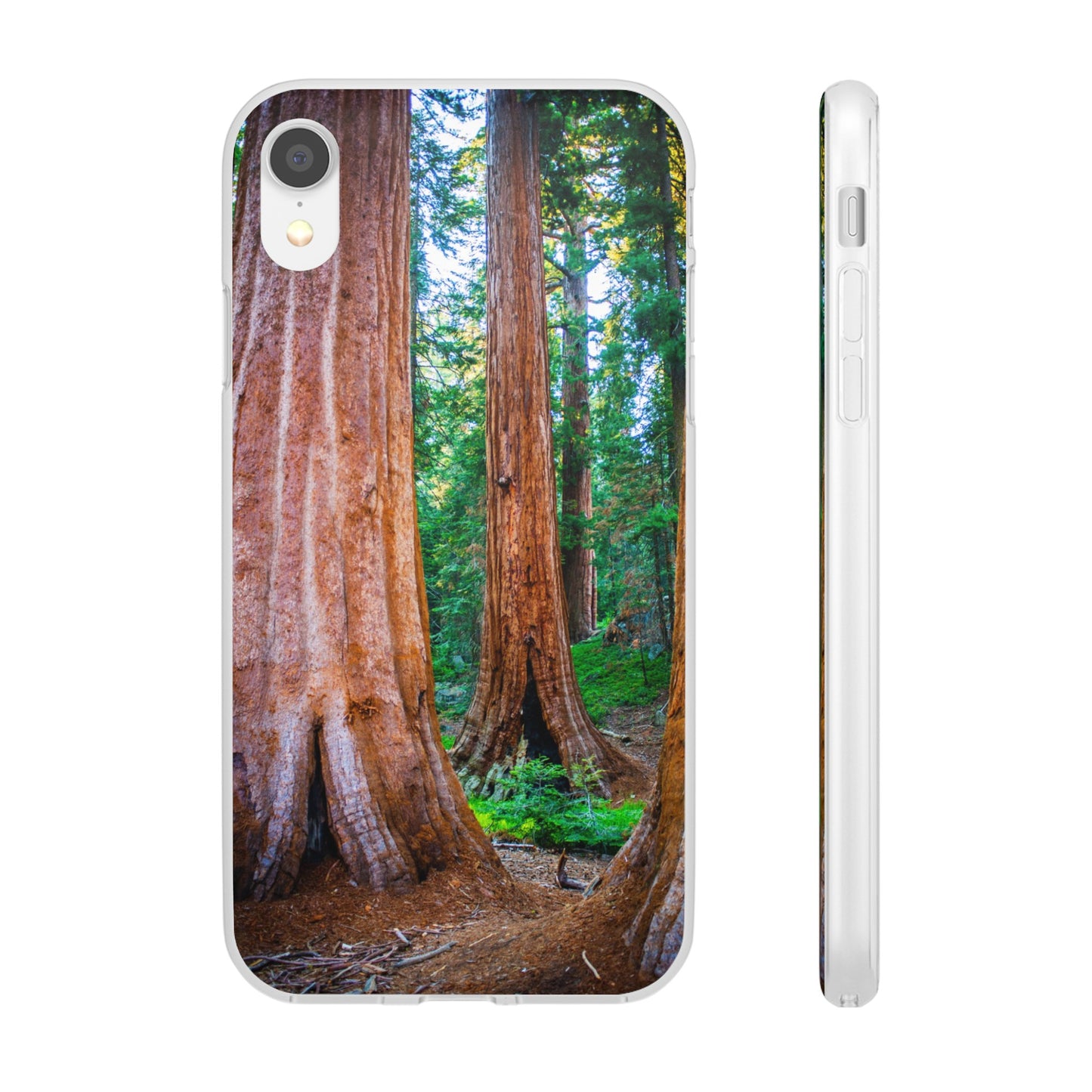 Sequoia Trees' Majesty Flexi Cases