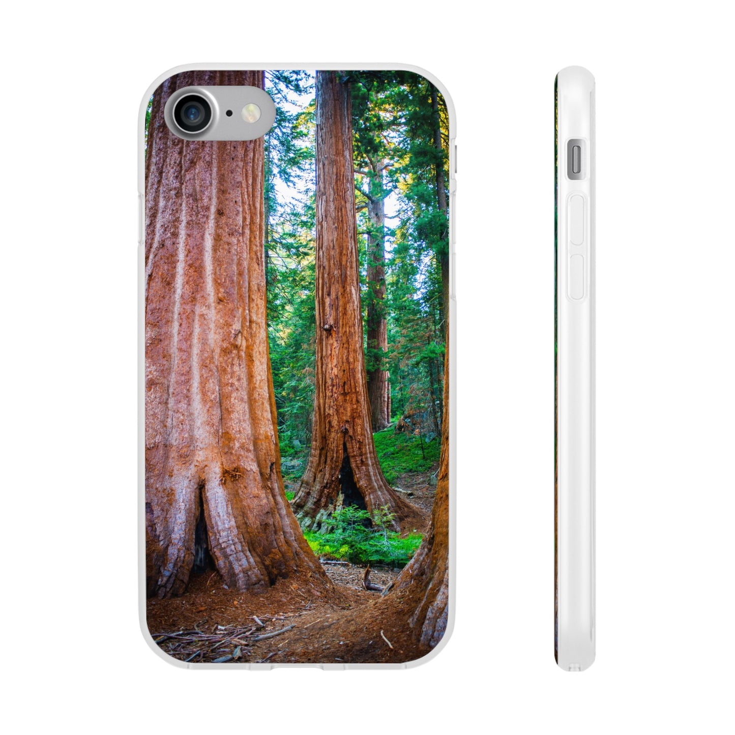 Sequoia Trees' Majesty Flexi Cases