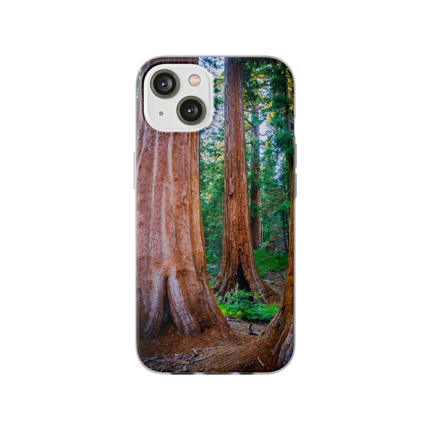 Sequoia Trees' Majesty Flexi Cases