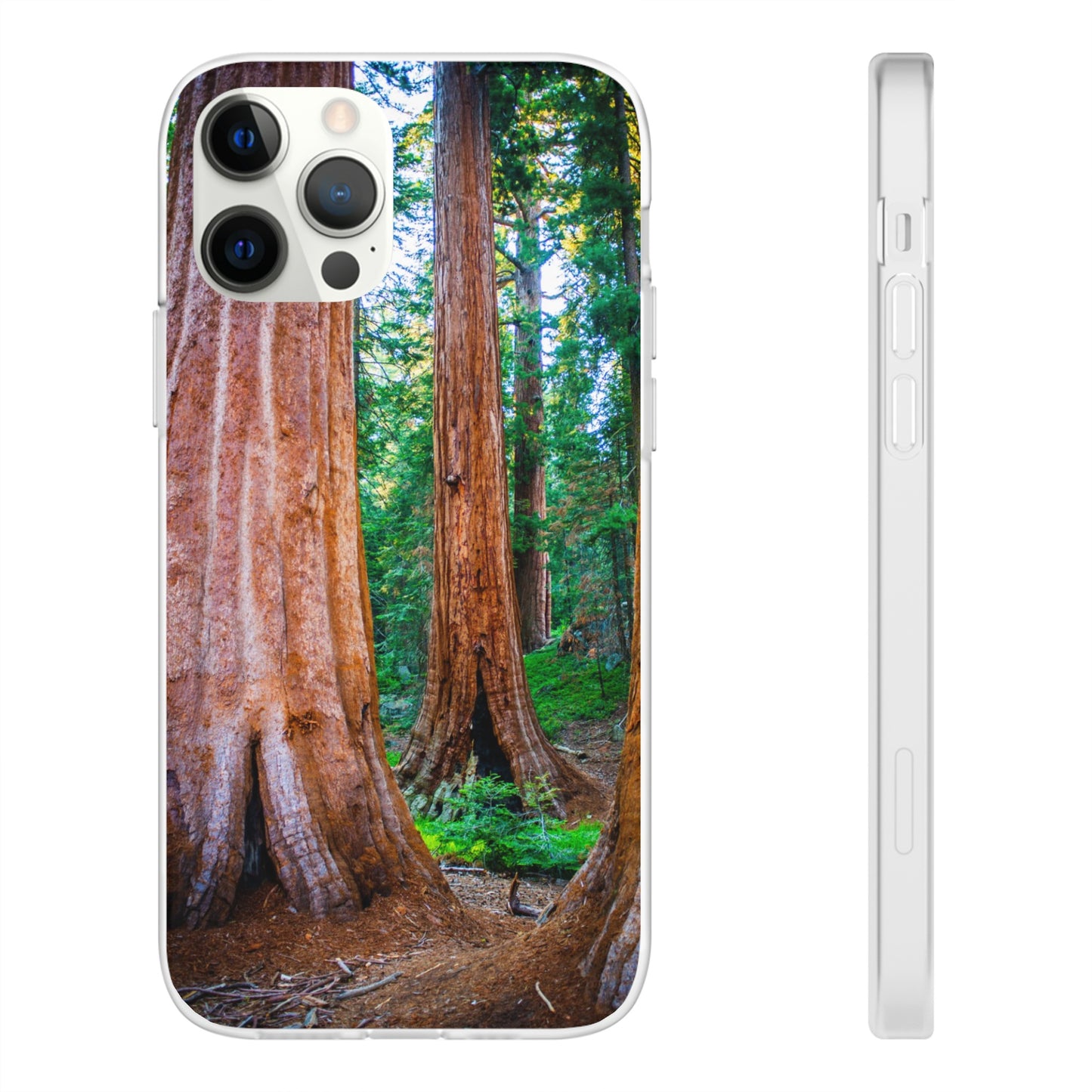 Sequoia Trees' Majesty Flexi Cases