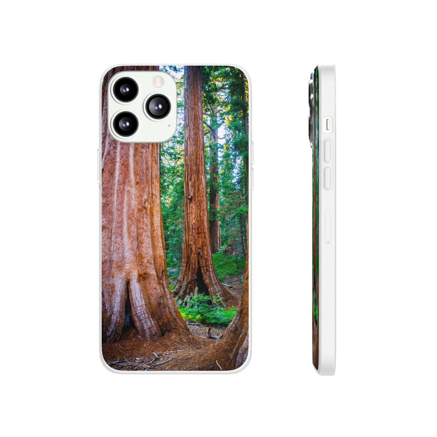 Sequoia Trees' Majesty Flexi Cases