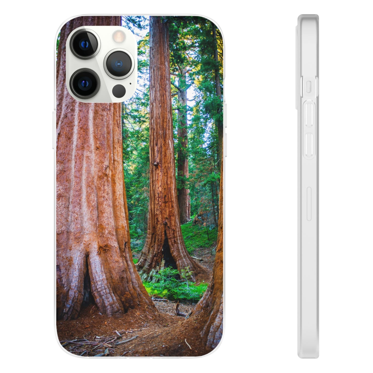 Sequoia Trees' Majesty Flexi Cases