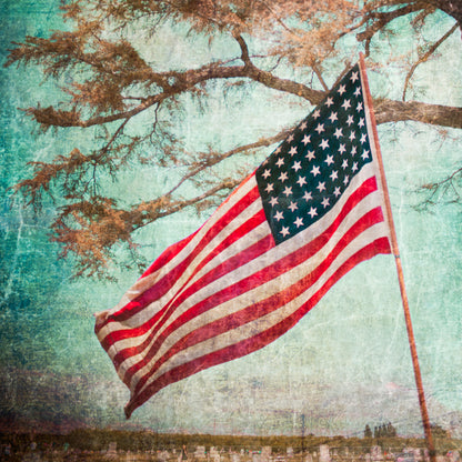 Old Glory III