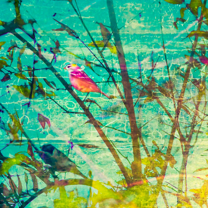 Lotus & Bird Atop Pomegranate Tree III