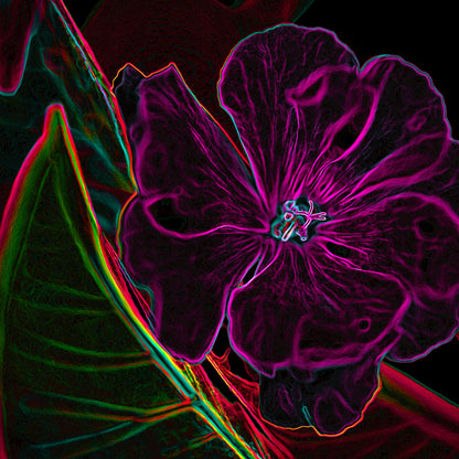 Electrified Geraniums III