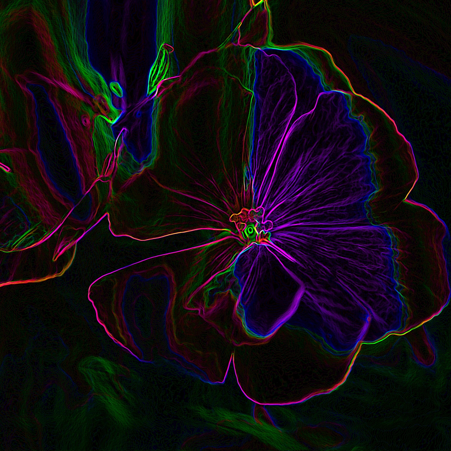 Electrified Geraniums III