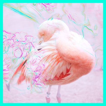 Peacock & Flamingo IV