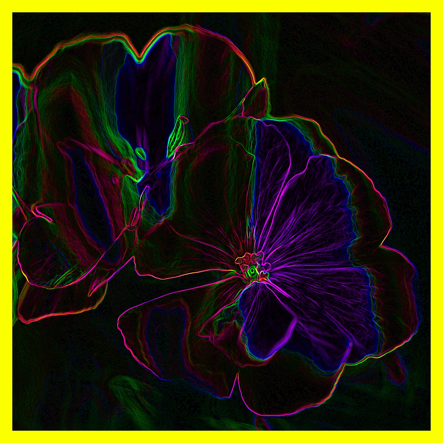 Electrified Geranium IV