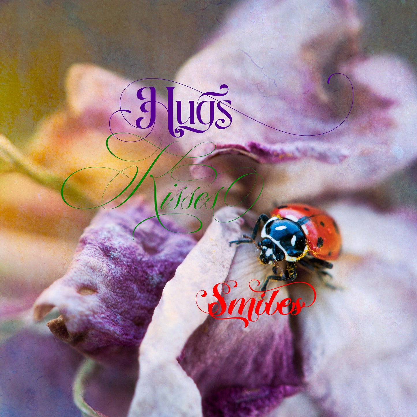 Hummingbird & Ladybug III