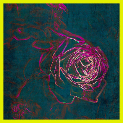 Red Loves Yellow & Electrified Rose IV